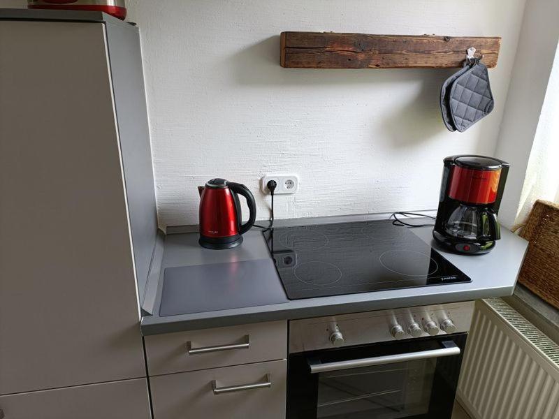 Apartment Luisa 에르푸르트 외부 사진